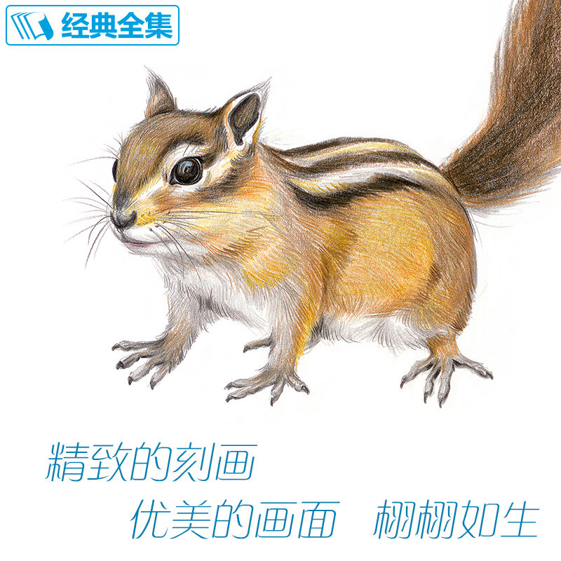 Nowy kolorowy ołówek szkic książki wejściowe chińska linia kolorowanki szkic zwierzęcy podstawowa wiedza samouczek dla początkujących