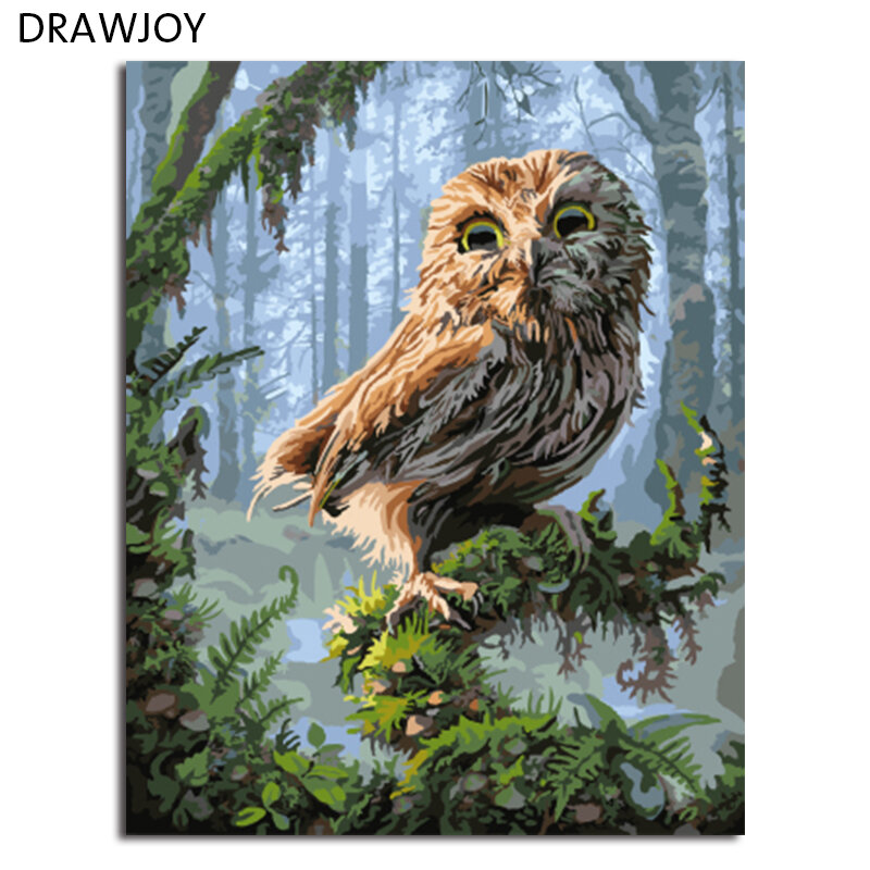 DRAWJOY Framed Pictures Painting By Numbers Owl DIY Digital Oil Painting On Canvas Home Decoration Wall Art GX8346 40*50cm
