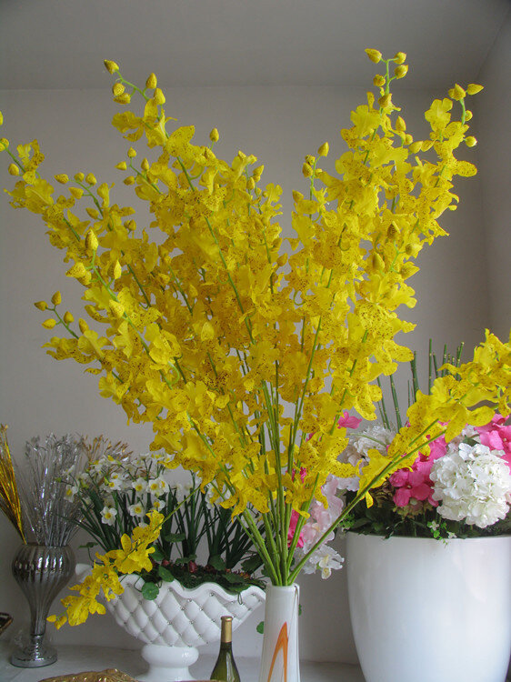 Orchidée Oncidium jaune, simulation de branches hautes, danse florale