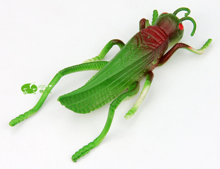 4 pces/um lote locust gafanhoto inseto modelo brinquedos tpr macio material complicado cedo aids filme adereços