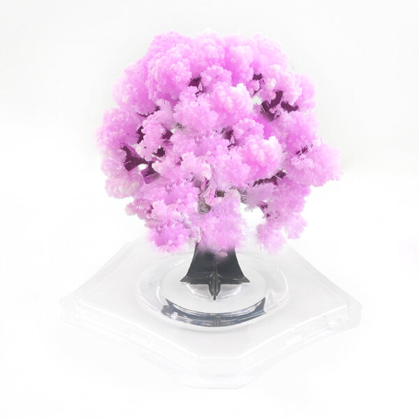 2 sztuk 9x8cm różowy magia rosnące papieru Sakura drzewo magiczne rosną choinki pulpit Cherry Blossom zabawki naukowe dla dzieci
