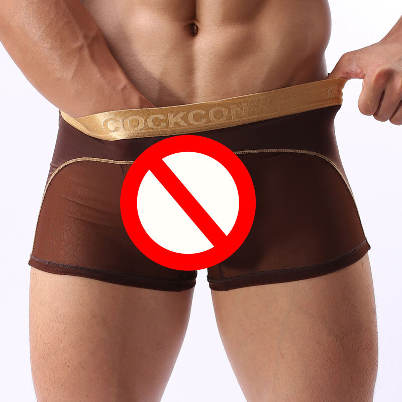 [EXILIENS] Hot Sale Underwear Men Cueca Boxer Mens Transparent Sexy Panties Male Solid Man Underpant Brand Gay Boxers Size M-XXL