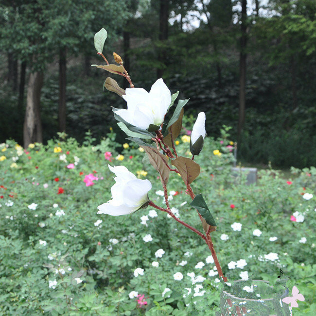 Prese di fabbrica] fiore di magnolia fiore artificiale fabbrica di fiori artificiali simulazione matrimonio inaugurazione della casa aperto con