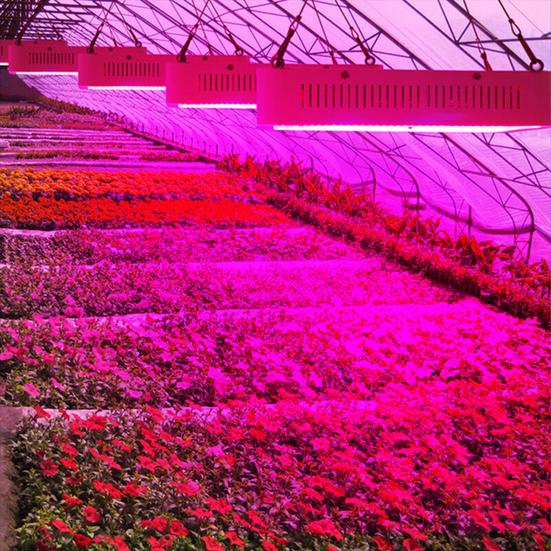 Toika – lampe de croissance LED, 6 pièces, spectre complet, pour plantes d'intérieur et Phrase florale, rouge/bleu/blanc/UV/IR à haut rendement, SMD5730, 600W