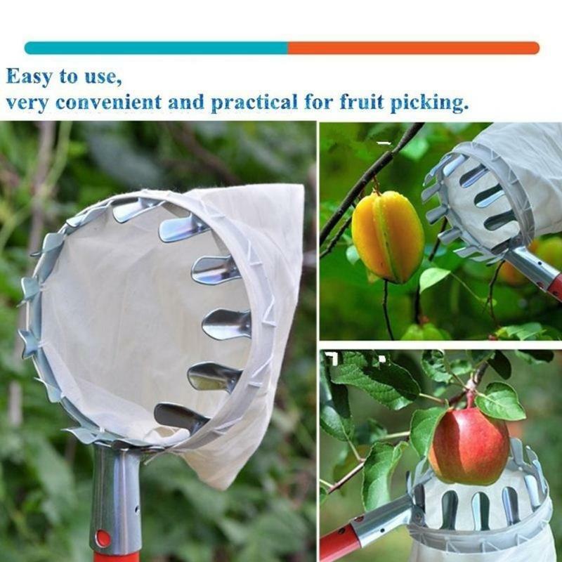 Outil de cueillette de fruits en métal pratique pour le jardinage en plein air