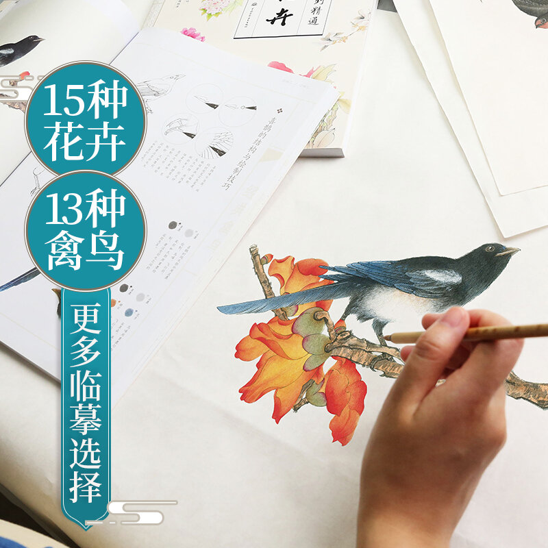 Mais novo 2 pçs/set meticuloso flores e pássaros de entrada para mestre iniciante chinês pintura noções básicas livro