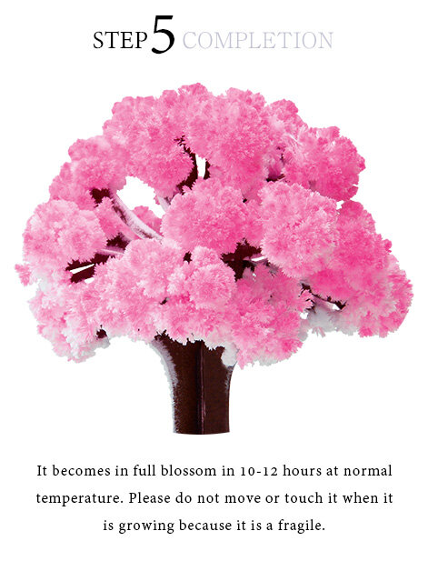 2019 14Hx11Wcm ThumbsUp! Fajna japonia! Magiczne japońskie drzewo Sakura-fabrycznie nowe wykonane w japonii pulpit Cherry Blossom Chritmas prezenty dla dzieci
