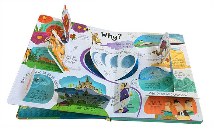 New  lift-the-flap Questiones and Answers original English Educational Picture Books Baby Childhood learning reading gift