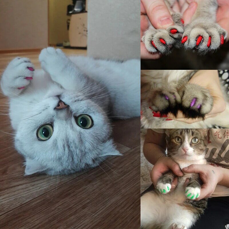 20Pcs Soft Cat Nail Caps Pet Paw Claws Nail Grooming Protector Cover Met Gratis Lijm Lijm + Applicator Xs sml
