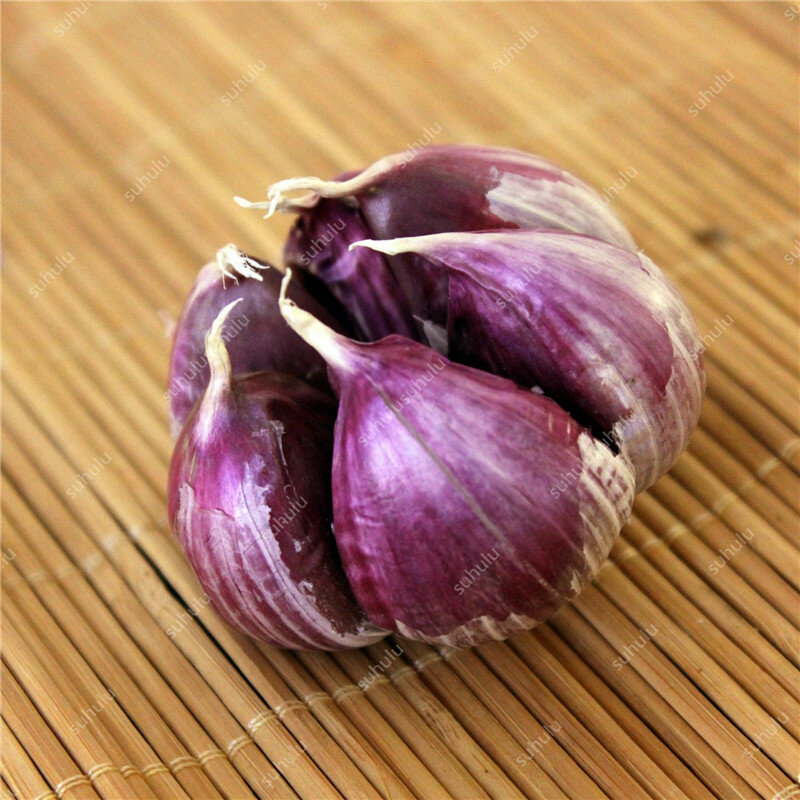 200 pcs Multi-petals Garlic Bonsai, Red And Healthy Plant Onion Garlics Vegetable Bonsai Very Easy Grow Kitchen Seasoning Food