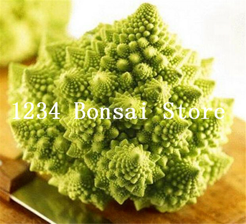 50 piezas brócoli Bonsai planta vegetal no-GMO reliquia vegetal de alta calidad planta Jardín de la casa 95% + la germinación