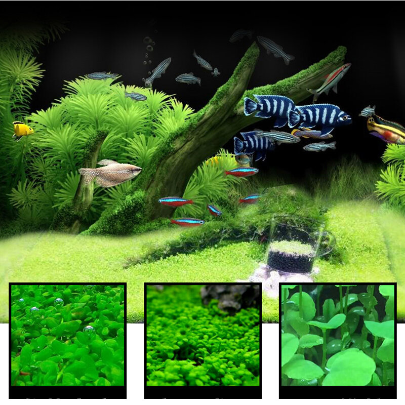 수생 물 잔디 7 스타일 수족관 식물 사랑 플라스틱 물 잔디 물고기 탱크 식물 장식 조경 장식품