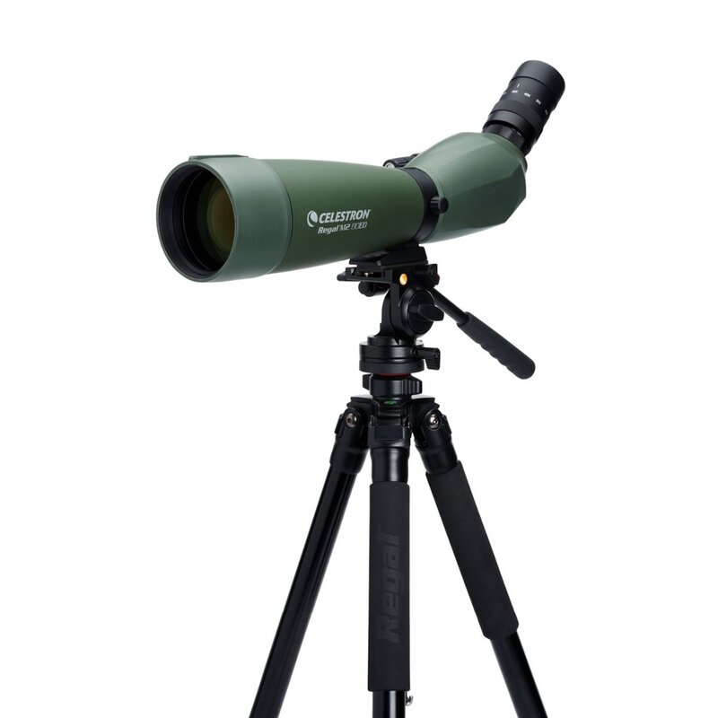 Celestron-telescopio con Zoom 20x-60x, 80 F-ED, 45 grados, multicapa, para observación de aves, caza, viajes, Regal M2
