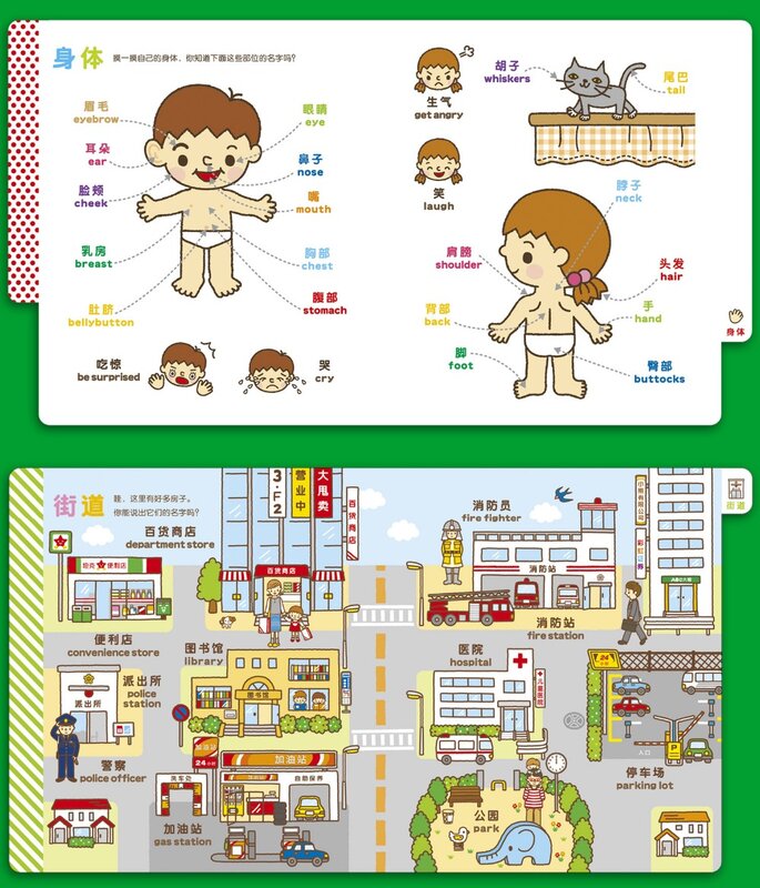 Livre d'images pour enfants et bébés, ensemble de 3 pièces, anglais-chinois, binoculaire cognitive, livre d'histoires pour le coucher