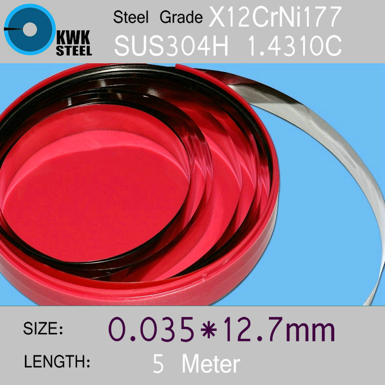 Rvs Strips 0.035*12.7*5000mm in Spoel voor Mallen Afstand Washer Hoge Precisie Onderdelen Opgerolde Silicium Staalplaat