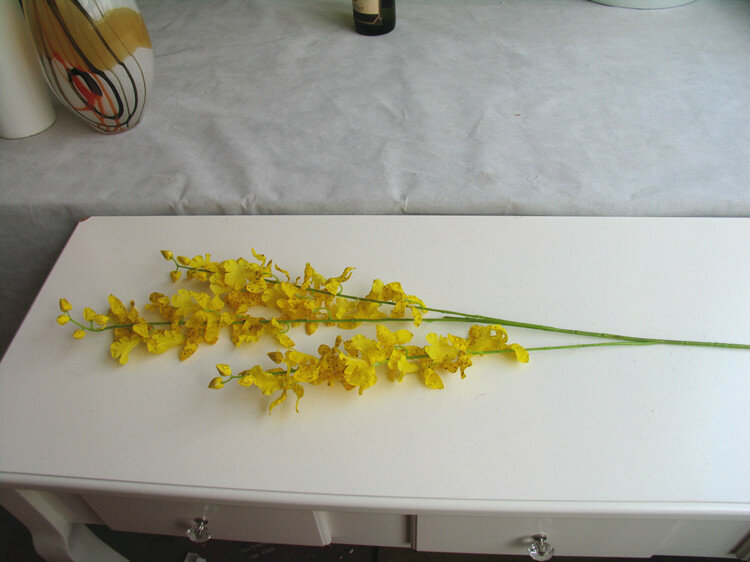 Orchidée Oncidium jaune, simulation de branches hautes, danse florale