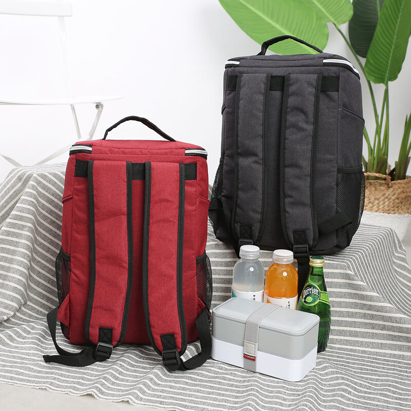 SANNE 20 л вместительная утолщенная водонепроницаемая сумка-холодильник, терморюкзак, изолированная сумка для льда, свежий стиль, Термосумка
