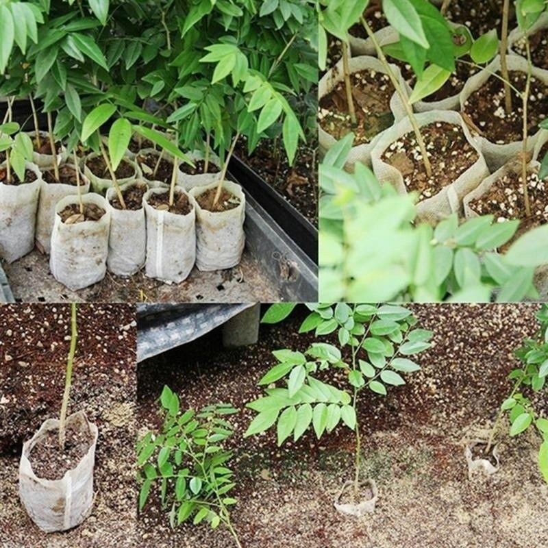 Bolsas biodegradables para guardería no tejidas, bolsas para cultivo de plantas, macetas de tela, bolsas de aireación respetuosas con el medio ambiente, macetas para jardín