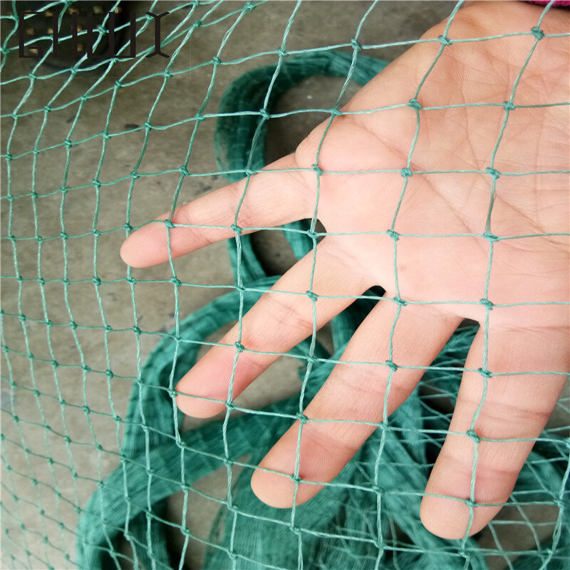 Agrícola Plastic Protection Net, Gardening Fence, Garden Fence, Breeding, Escalada, Rattan Net, Frango, Gato, 10m, 20m,50m
