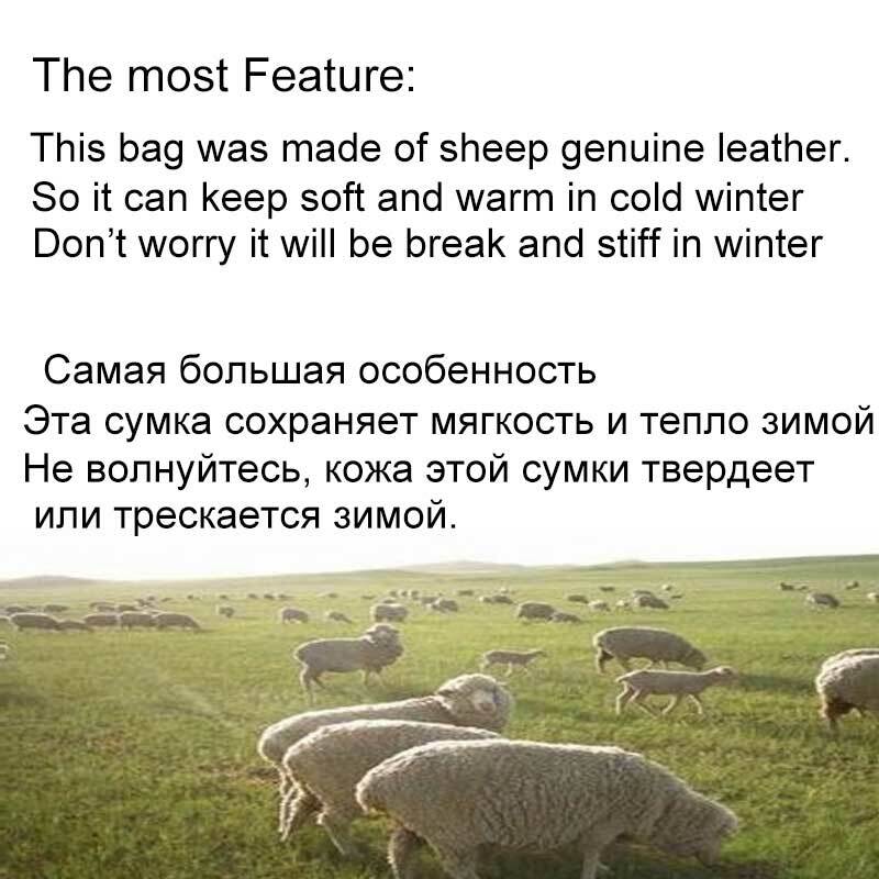 MVA – sac de ceinture en cuir de mouton véritable pour homme et femme, sacoche banane pour les hanches, 8879