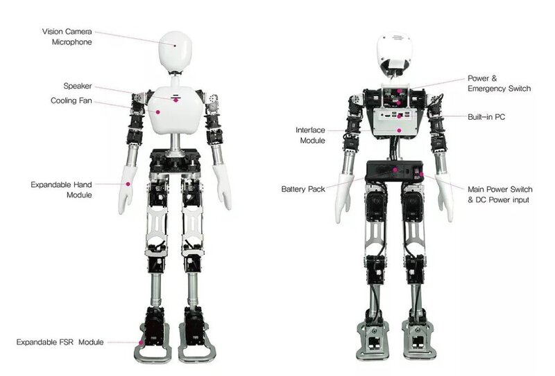 Многофункциональный человекоидный робот