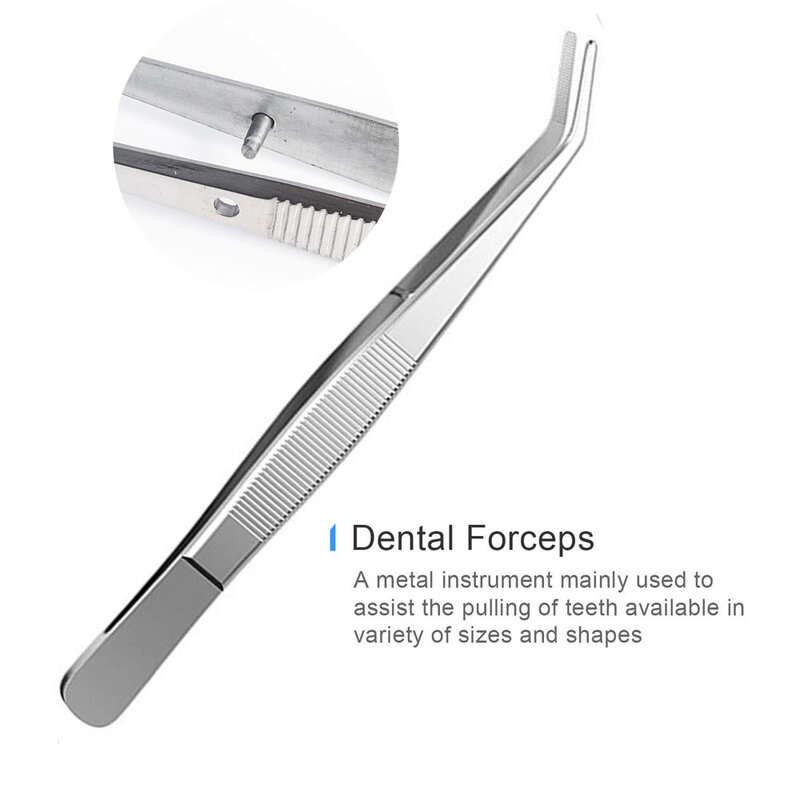 Pinzas dentales para dentistas, pinzas dentadas en ángulo, pinzas para vendaje de pico, pinzas quirúrgicas