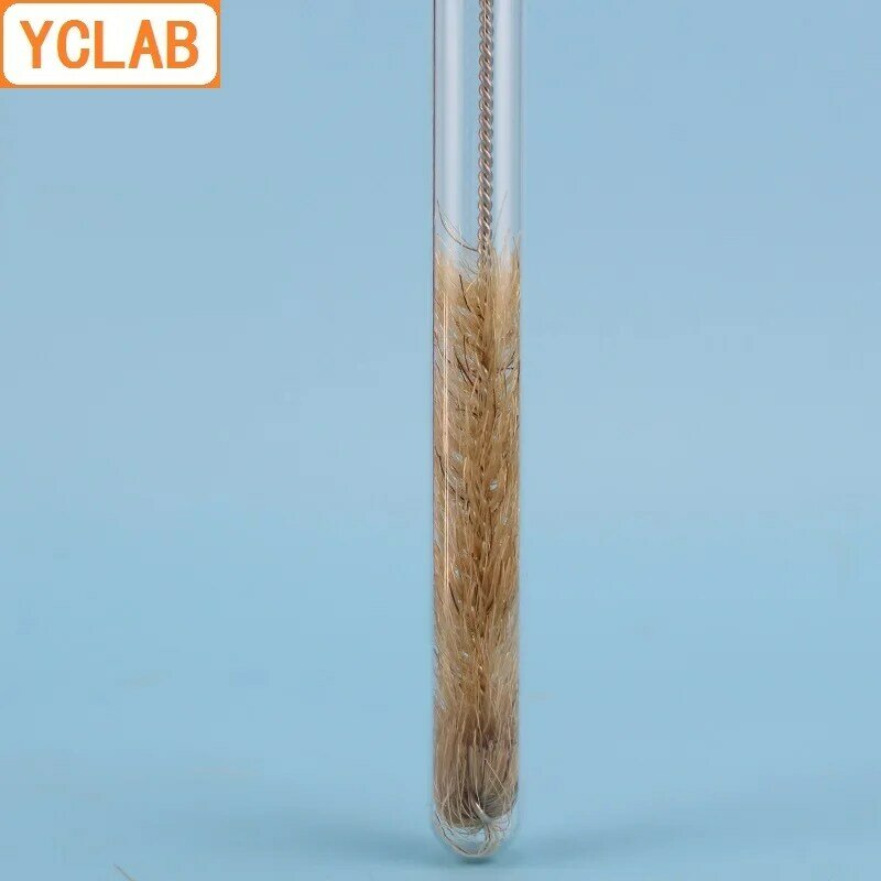 Escova de tubo de ensaio pequeno de iclab