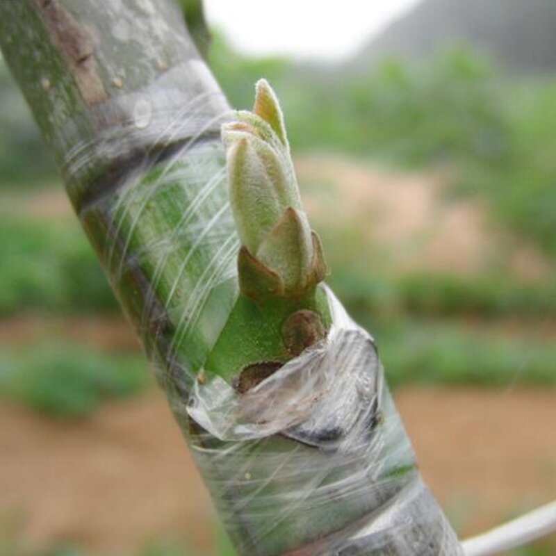 1 rolo largura 20mm-100mm fruit tree enxertia filme de membrana stretchable garde plantas proteção berçário fita auto adesivo filme