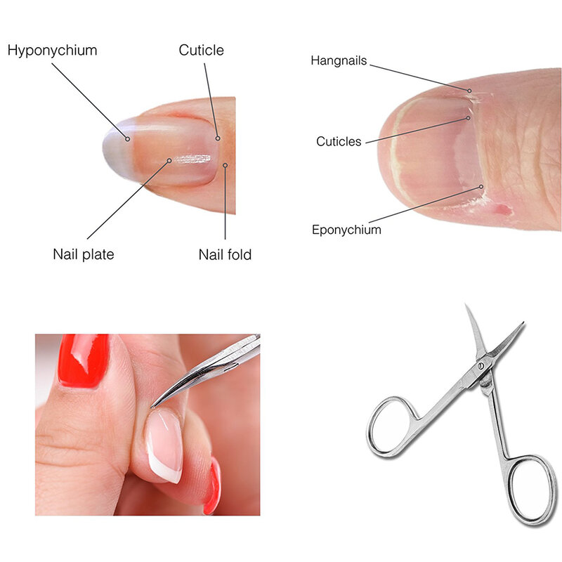 1Pcs Berufs Scissor Maniküre Für Nägel Augenbraue Nase Wimpern Häutchen Schere Gebogene Pediküre Nail Scissor Make-Up Werkzeuge