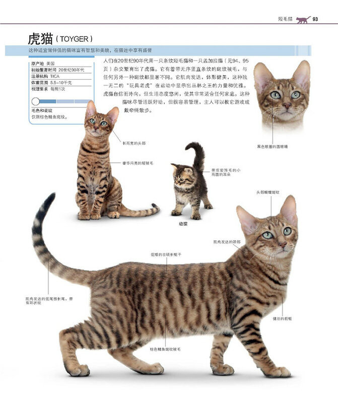 Nieuwe Hot 1 stks wereldberoemde kat gedomesticeerde Encyclopedie de compleet kat ras boek voor volwassen