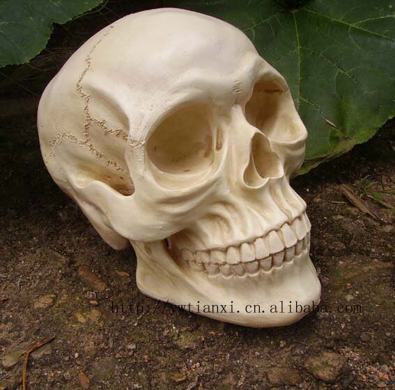 Gadżety na halloween czaszka z żywicy 1:1 malowanie model nauczania symulacja czaszka duch festiwal nawiedzony dom tkaniny pole