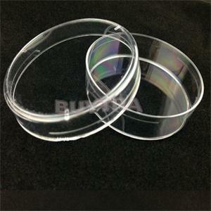 Platos de Petri transparentes con tapas, 10 piezas, desechables, de plástico, estériles, suministros de laboratorio químico, 60mm
