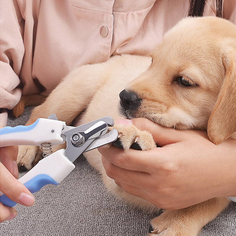 Obcinacz do pazurów nożyczki Pet Dog Cat cążki do pazurów lub paznokci nożyczki trymer narzędzia fryzjerskie dla zwierząt artykuły dla zwierząt