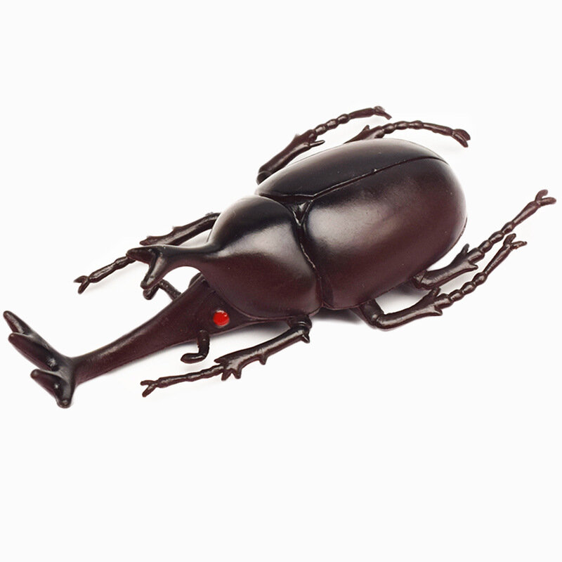 Juguetes de escarabajo de simulación, modelo realista especial, juguete de insectos, ayudas para la enseñanza de guardería, juguetes de broma, 6 estilos, 13cm