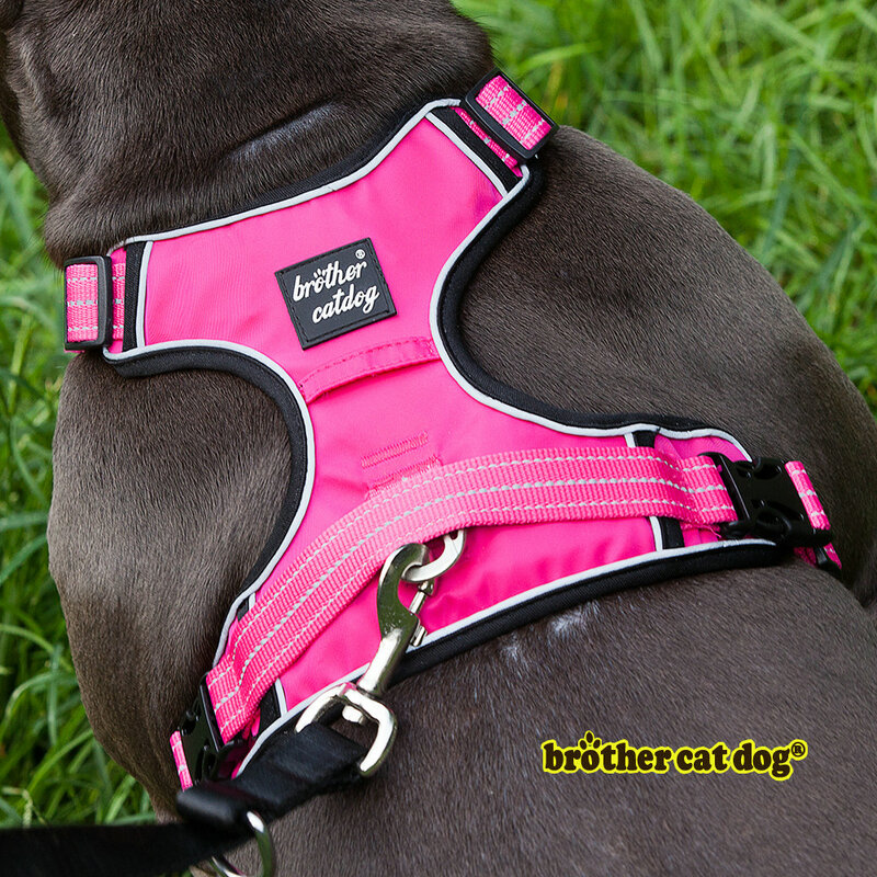 On Sale Big Harness For Dog Outdoor Walking French Bulldog Golden Retriever Medium Large Animal Pet Chest Strap Handle Collar