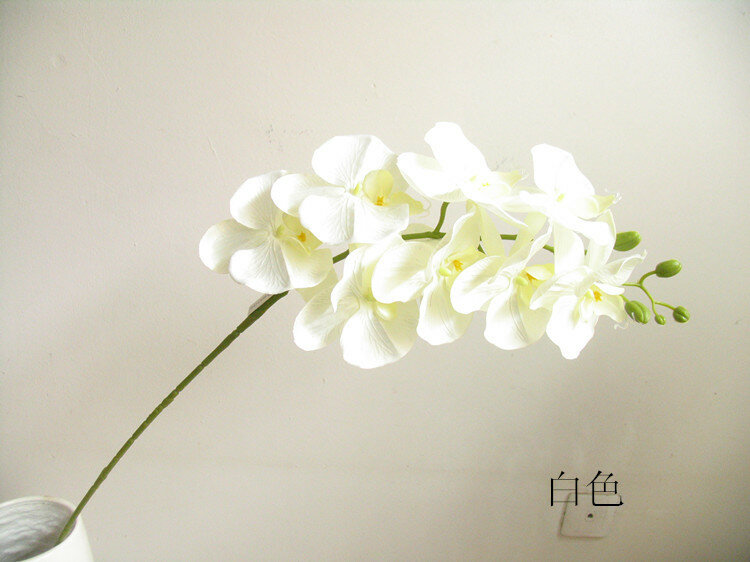 [โปรโมชั่น] ผ้าไหมดิบ Feel ราคาถูก Phalaenopsis สมจริงรู้สึก Super ปลอมดอกไม้ Phalaenopsis