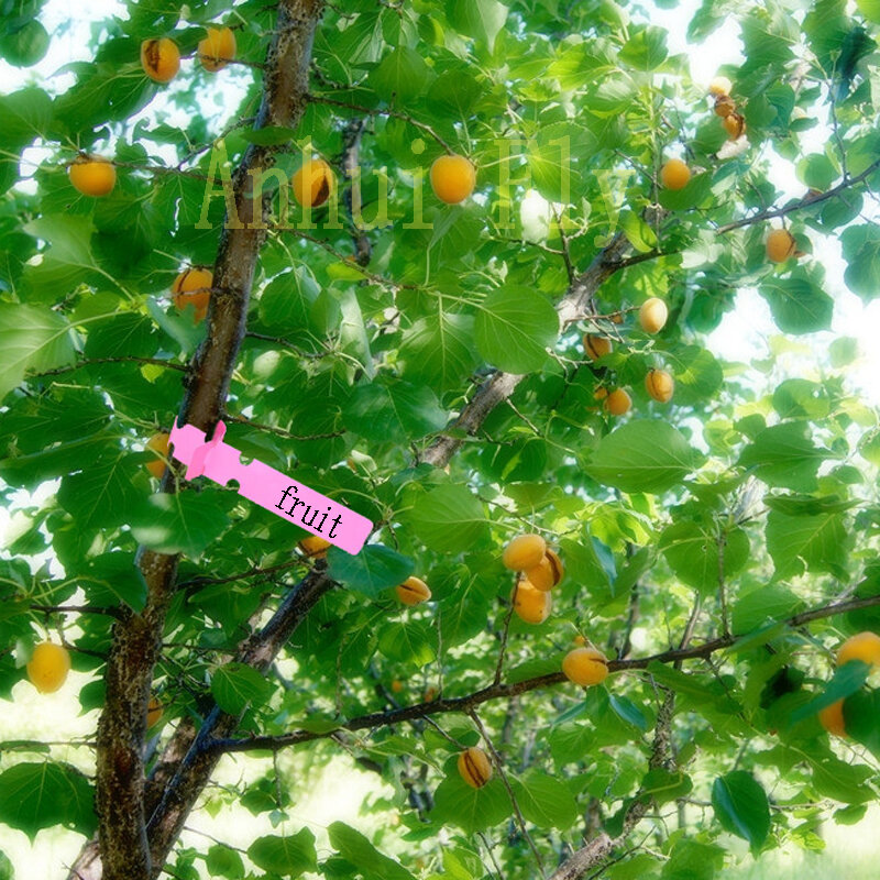 30pcs gardening garden hang tag label hanging tree seedling plant fruit trees signs prompt card classification tool