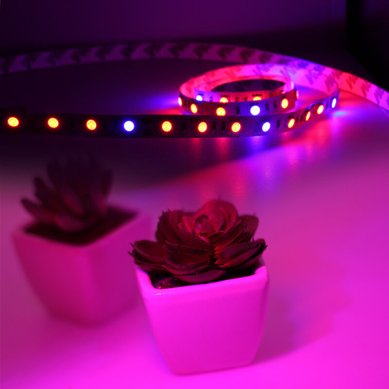 Luces LED de cultivo DC12V, tira de cultivo rojo y azul, 5050 lámparas Phyto de espectro completo para invernadero, planta hidropónica, 5 m/lote