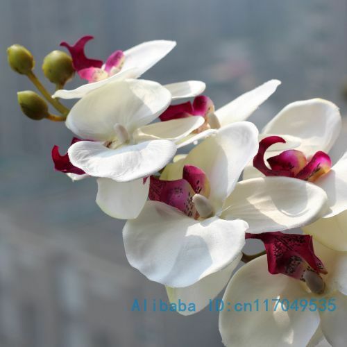 1 Batang Bunga Sutra Anggrek Buatan Butterfly Orchid untuk Rumah Baru Rumah Pernikahan Festival Dekorasi 6 Jenis 12 Warna f152