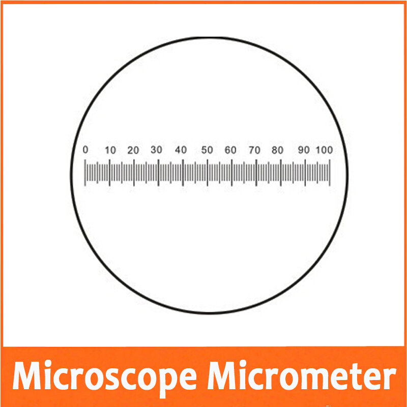 Calibração de medição do micrômetro do microscópio da escala da corrediça de vidro de 0.05mm para a lente objetiva do ocular da fase do microscópio