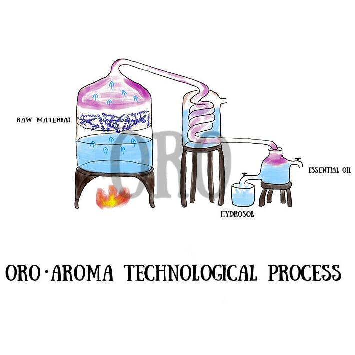 Oroaroma aromaterapi alami Verbena minyak esensial dekompresi dan promosi tidur rileks Verbena minyak