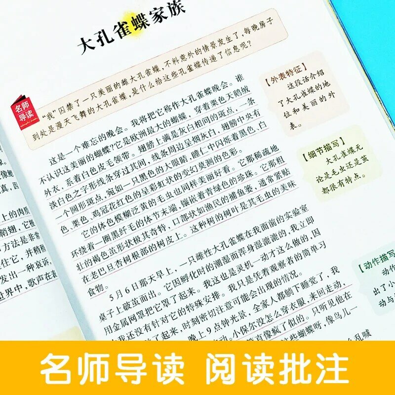 Novo os registros sobre insetos livro chinês mundo clássico história livro para crianças