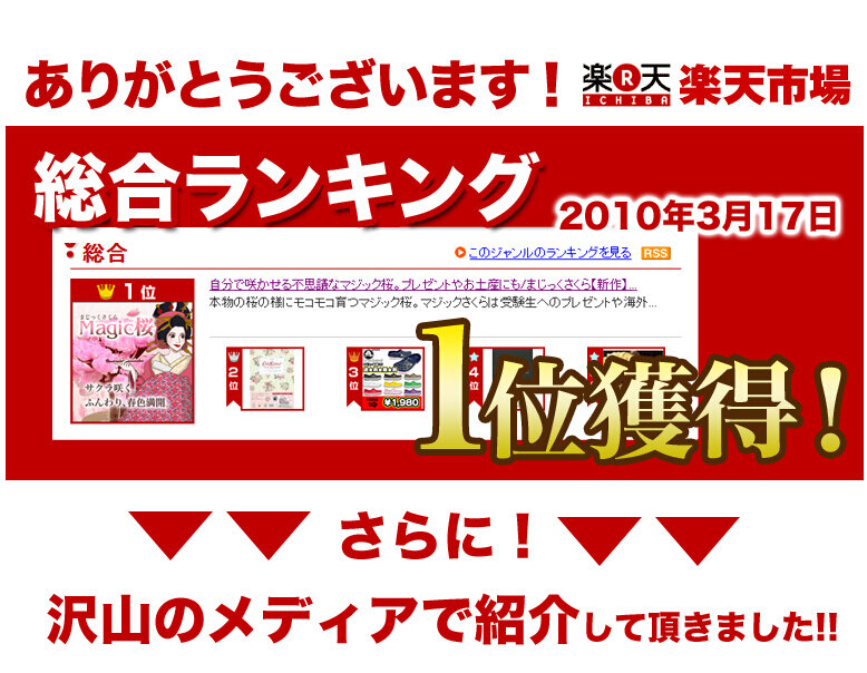 2019 135mm Roze Grote Magic Papier Boom Sakura Japanse Magisch Groeiende Bomen Kit Desktop Kersenbloesem Kerst Hot Speelgoed 20PCS
