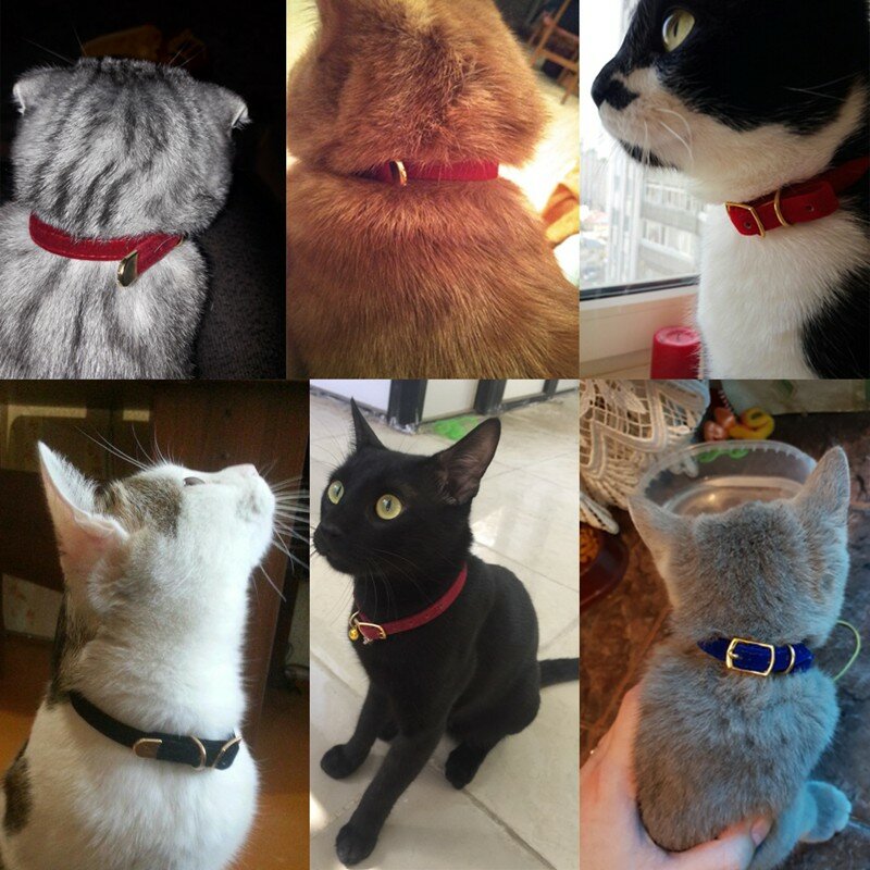 Collar de seguridad para gatos con campana, Collar para cachorros, perros pequeños, gatitos, Collar sólido para mascotas, productos para Chihuahua, YS0032