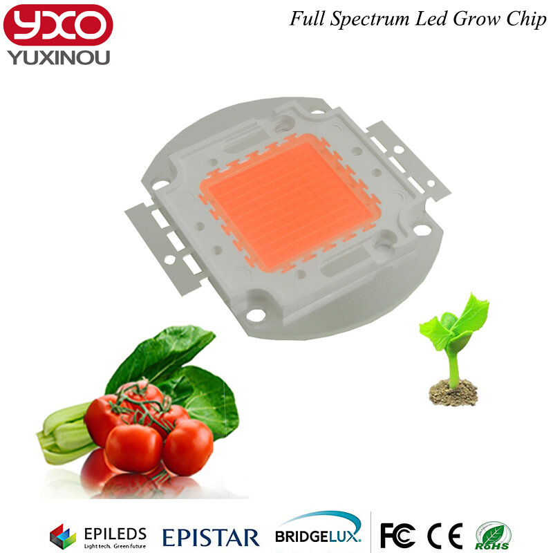 Full Spectrum LED Grow Chip, Luz da planta, Interior, Semeadura, Flor, Diodo, 30-34V, 3A, 50W, 100W, 1Pc