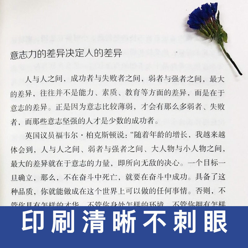De Kracht Van Zal Chinese Versie Hoe Effectief Beheren Jezelf Boeken