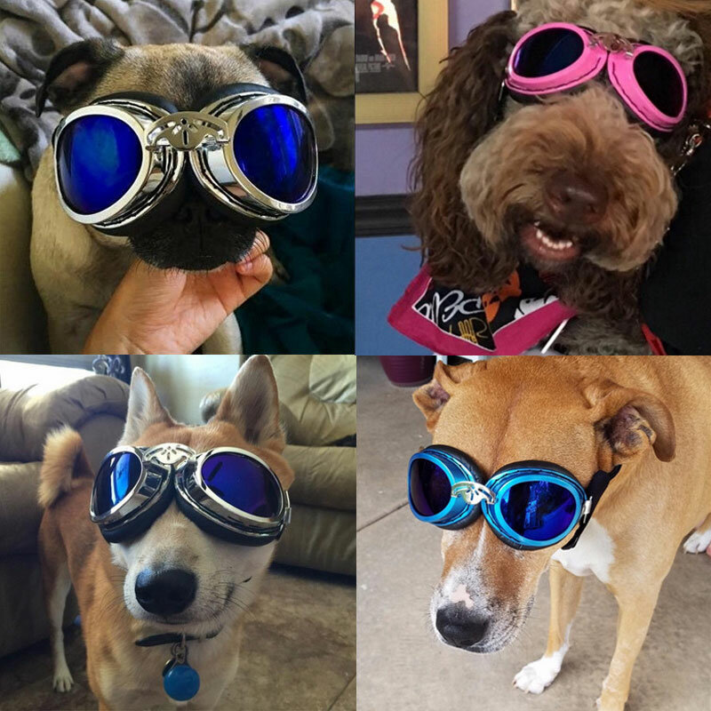 Lunettes de soleil réglables pour chien lunettes de soleil imperméables coupe-vent lunettes Protection UV lunettes de soleil pour chiens de taille moyenne