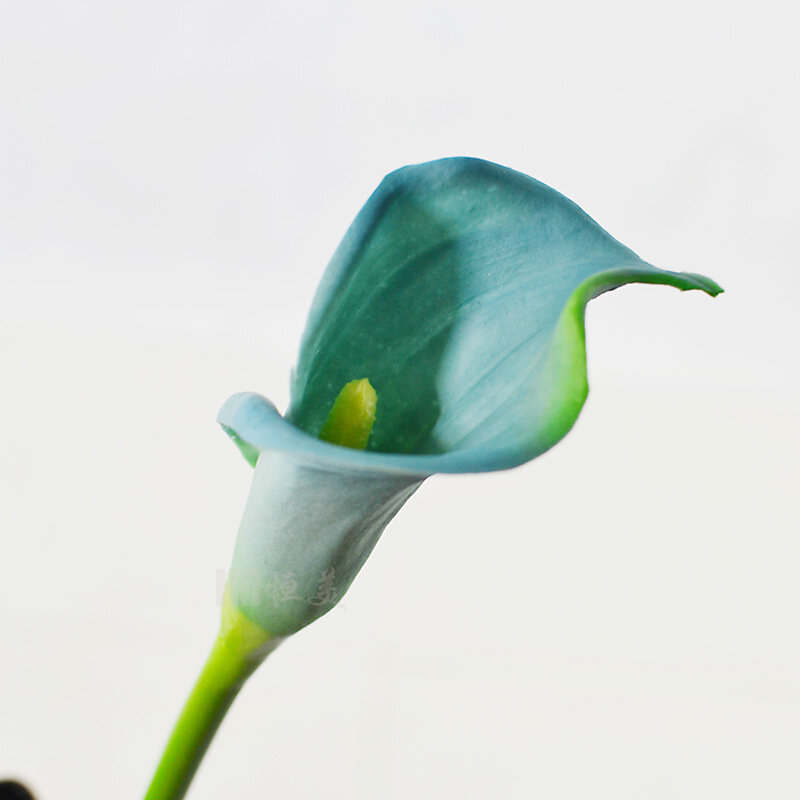 Новый Популярный искусственный цветок, Шелковый цветок calla feel, большой цветочный костюм, шесть вариантов