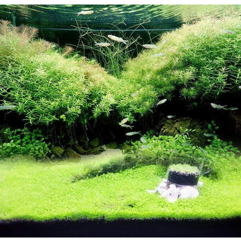 Eau aquatique herbe 7 Styles Aquarium plantes amour plastique eau herbe Aquarium plantes décoration paysage ornement