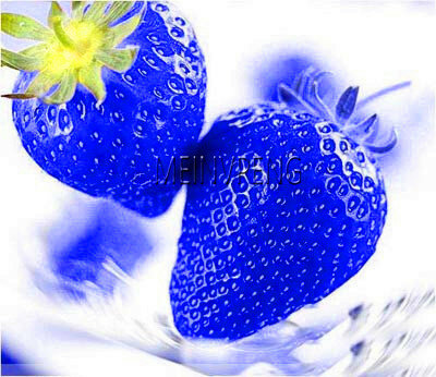 ¡Gran promoción! 200 unids/bolsa azul de Bonsai escalada fresa planta árbol fresa fruta orgánica Plantas para jardín de la casa